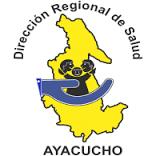 GOBIERNO REGIONAL DE AYACUCHO-SALUD
