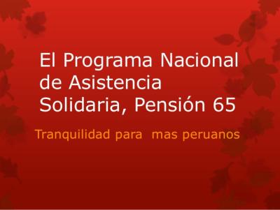 PROGRAMA NACIONAL DE ASISTENCIA SOLIDARIA PENSION 65