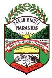 MUNICIPALIDAD DISTRITAL DE PARDO MIGUEL - NARANJOS