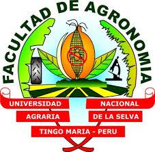 UNIVERSIDAD NACIONAL AGRARIA DE LA SELVA