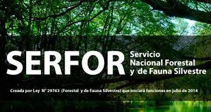 SERVICIO NACIONAL FORESTAL Y DE FAUNA SILVESTRE