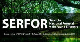 SERVICIO NACIONAL FORESTAL Y DE FAUNA SILVESTRE SERVICIO NACIONAL FORESTAL Y DE FAUNA SILVESTRE