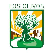 MUNICIPALIDAD DISTRITAL DE LOS OLIVOS (LAS PALMERAS)