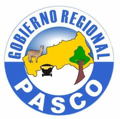 GOBIERNO REGIONAL DE PASCO-UNIDAD EJECUTORA SUB REGION DANIEL ALCIDES CARRION