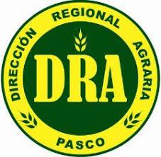 GOBIERNO REGIONAL DE PASCO - DIRECCION REGIONAL AGRARIA