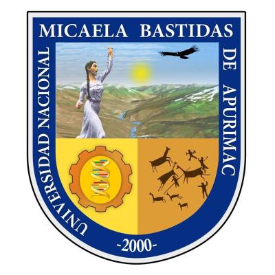 UNIVERSIDAD NACIONAL MICAELA BASTIDAS DE APURIMAC