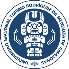 UNIVERSIDAD NACIONAL TORIBIO RODRIGUEZ DE MENDOZA DE AMAZONAS