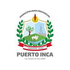MUNICIPALIDAD PROVINCIAL DE PUERTO INCA MUNICIPALIDAD PROVINCIAL DE PUERTO INCA