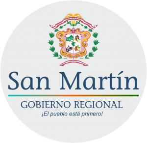 GOBIERNO REGIONAL DE SAN MART�N-SALUD ALTO MAYO