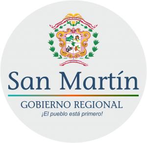 GOBIERNO REGIONAL DE SAN MARTN-SALUD ALTO MAYO GOBIERNO REGIONAL DE SAN MARTN-SALUD ALTO MAYO