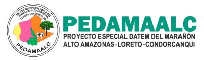 PROYECTO ESPECIAL DATEM DEL MARA�ON - ALTO AMAZONAS - LORETO - CONDORCANQUI - PEDAMAALC