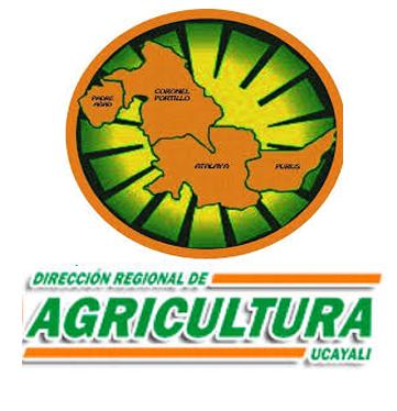 GOBIERNO REGIONAL DE UCAYALI - DIRECCIN REGIONAL SECTORIAL DE AGRICULTURA UCAYALI