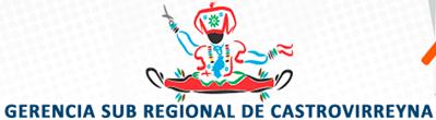 GOBIERNO REGIONAL DE HUANCAVELICA GERENCIA SUB REGIONAL DE CASTROVIRREYNA GOBIERNO REGIONAL DE HUANCAVELICA GERENCIA SUB REGIONAL DE CASTROVIRREYNA