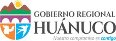 GOBIERNO REGIONAL DE HUANUCO - RED DE SALUD HUAMALIES GOBIERNO REGIONAL DE HUANUCO - RED DE SALUD HUAMALIES