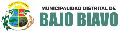 MUNICIPALIDAD DISTRITAL DE BAJO BIAVO