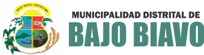 MUNICIPALIDAD DISTRITAL DE BAJO BIAVO MUNICIPALIDAD DISTRITAL DE BAJO BIAVO